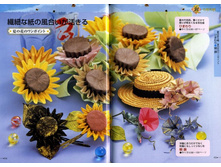 Seibido_Shuppan_Sha_Jitsuyou_Origami (49).jpg