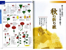 Seibido_Shuppan_Sha_Jitsuyou_Origami (52).jpg