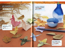 Seibido_Shuppan_Sha_Jitsuyou_Origami (59).jpg