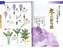 Seibido_Shuppan_Sha_Jitsuyou_Origami (67).jpg