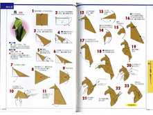 Seibido_Shuppan_Sha_Jitsuyou_Origami (99).jpg