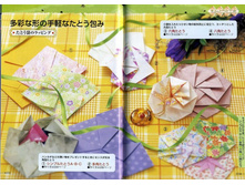 Seibido_Shuppan_Sha_Jitsuyou_Origami (119).jpg
