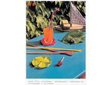 Livro_Origami_V (13).jpg