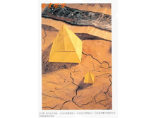 Livro_Origami_V (39).jpg