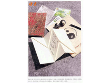 Livro_Origami_V (53).jpg