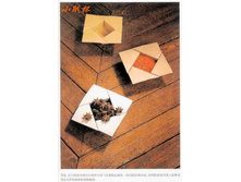 Livro_Origami_V (67).jpg