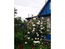 ��� ����.JPG