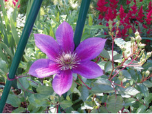 ���������� ��� ��������� �����.JPG