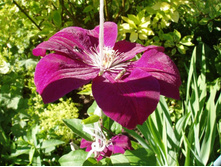 ��� ��������.JPG