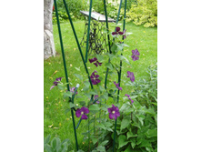 ��� ������.JPG