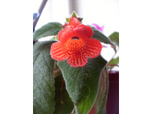 ������� 20.12.2009