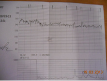 DSCN0617.JPG