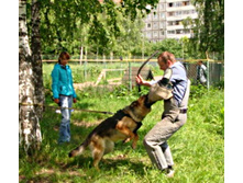 ����� ����