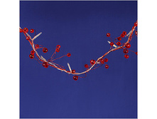 6007(1). ����-409 ������