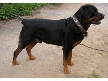 ������ � ���������� �����