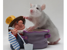 ��������