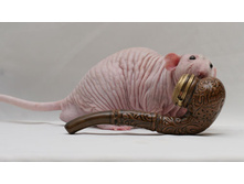 ��������� ��������� 