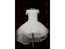 ������ DSA 1303.jpg