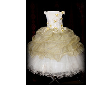 ������ DSA 1315.jpg