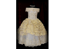 ������ DSA 1335.jpg