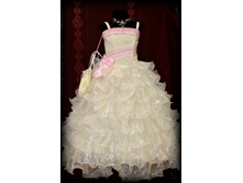 ������ DSA 1413.jpg