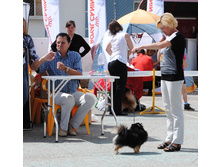 41-DSC_9815.JPG