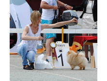 62-DSC_9904.JPG