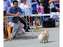 14-DSC_9636.JPG