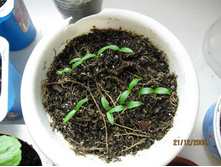 ������ -9 ���� - ��� ������