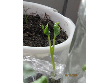 ������ ��������� - �� � �������!