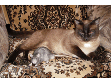 ������� � ����