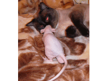 ������� � ����