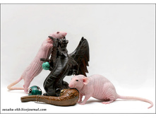 ����� � ������