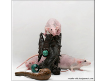 ��� ����� ���� (�����, ������, �����)