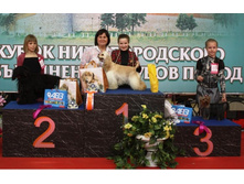 29 ������ 2012�. 3 �����