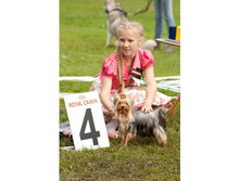 3 ���� 2012�. 4 �����