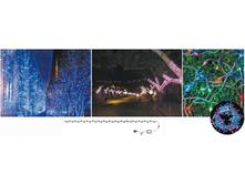 �������� ������������ ��������.jpg