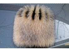 �������� ����