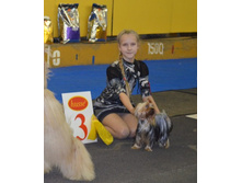 16 ���.3 �����