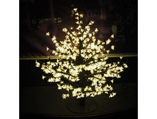 BLD-PT001 ������.jpg