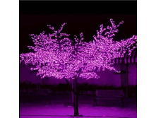 BLD-PT005 �����-2.jpg