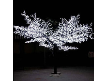 BLD-PT005 �����-3.jpg