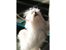 ����������� 030.jpg