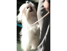 ����������� 031.jpg