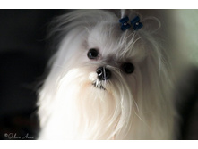 ����������� 033.jpg