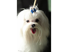 ����������� 036.jpg