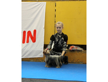 17 ����� 1 �����