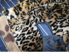 ���� � ����� 441.jpg