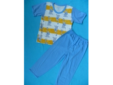 �������: 10-029