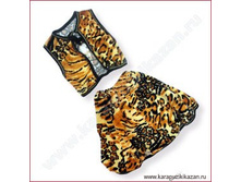 ���� � ��������  